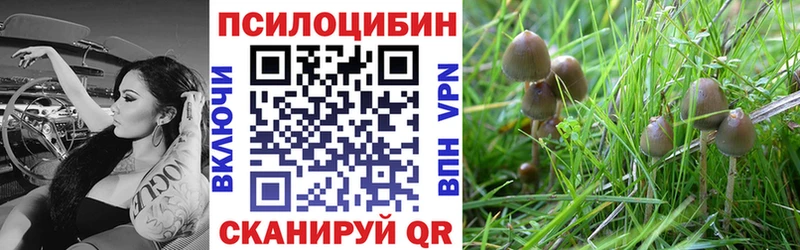 Галлюциногенные грибы ЛСД Кумертау