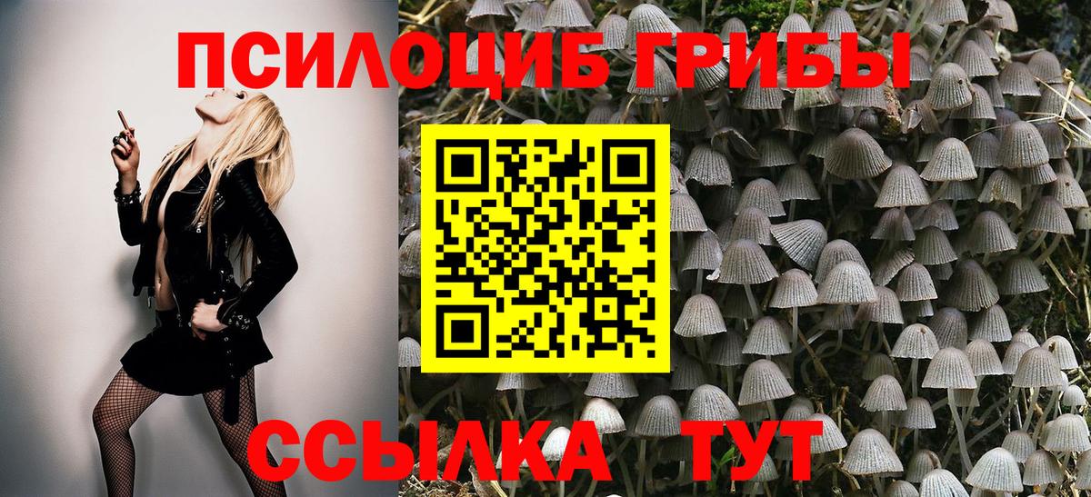 Псилоцибиновые грибы Psilocybe Кумертау